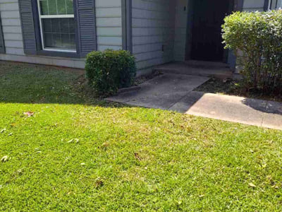 Lawn Care service in Plymouth, 02360