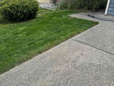 Lawn Care service in Lake Stevens, 98258