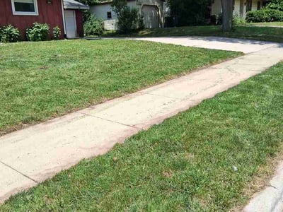 Lawn Care service in Sun Prairie, 53590