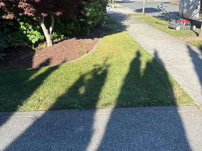 Lawn Care service in Lake Stevens, 98258