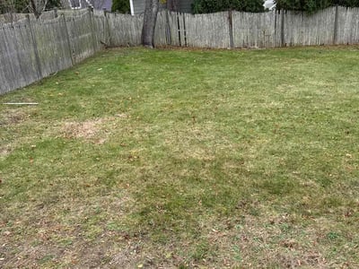 Lawn Care service in Braintree, 02184
