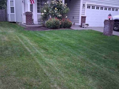 Lawn Care service in Bonney Lake, 98391