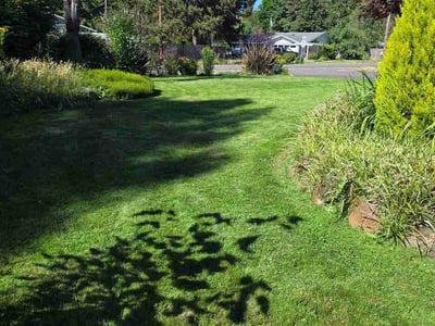 Lawn Care service in Ridgefield, 98642