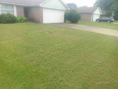 Lawn Care service in Conway, 72032