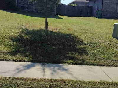 Lawn Care service in Cabot, 72023
