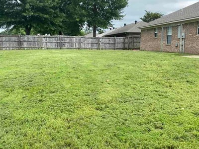 Lawn Care service in Conway, 72032