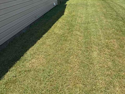 Lawn Care service in Hayes, 23072