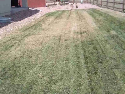 Lawn Care service in Peyton, 80831