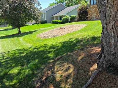 Lawn Care service in Brigham City, 84302