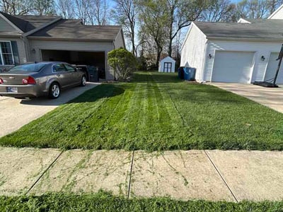 Lawn Care service in Brainerd, 56401