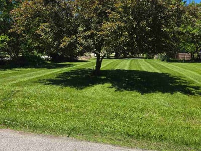 Lawn Care service in Painesville, 44077