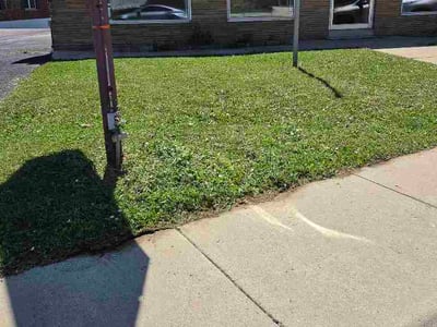 Lawn Care service in Cedarburg, 53012