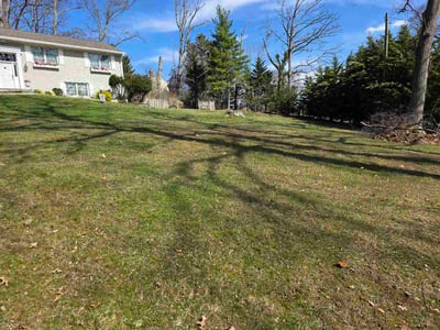 Lawn Care service in Berryville, 22611