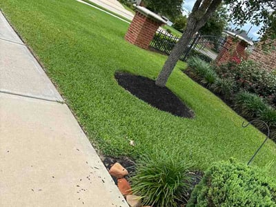 Lawn Care service in Spring Valley, 91977