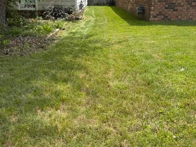 Lawn Care service in Marion, 72364