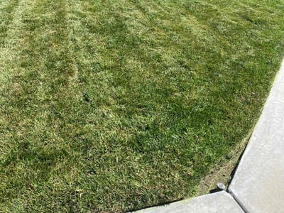 Lawn Care service in Yucca Valley, 92284