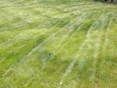 Lawn Care service in Ottawa, 61350