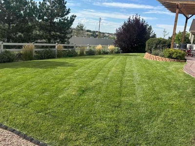 Lawn Care service in Greenwood Village, 80121
