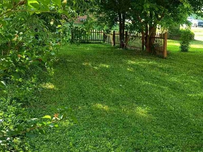 Lawn Care service in Culpeper, 22701
