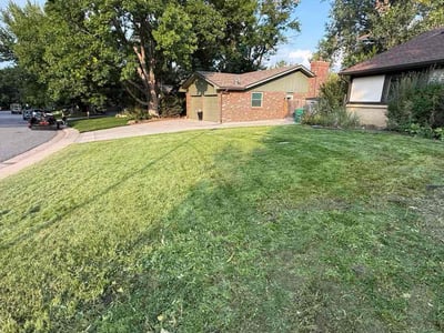 Lawn Care service in Greenwood Village, 80121