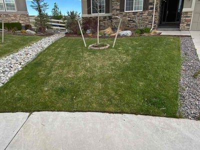 Lawn Care service in ,