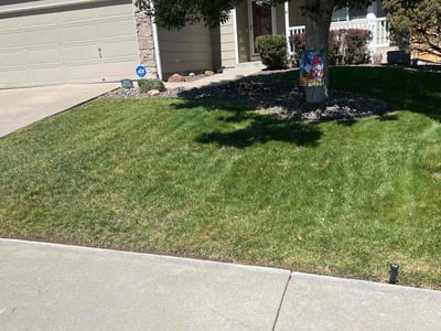 Lawn Care service in Aurora, 80011
