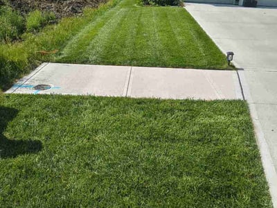 Lawn Care service in Bellevue, 68005