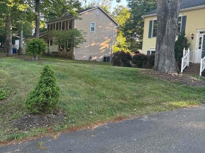Lawn Care service in Tysons, 22182
