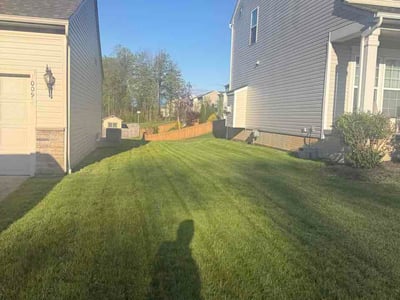 Lawn Care service in Willoughby, 44094