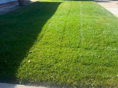 Lawn Care service in Sunnyvale, 94087