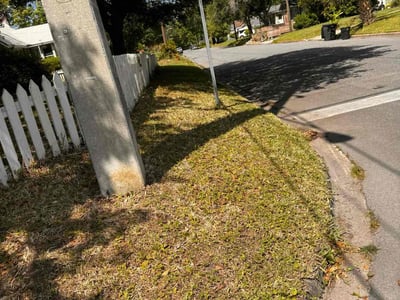 Lawn Care service in Stockton, 95202
