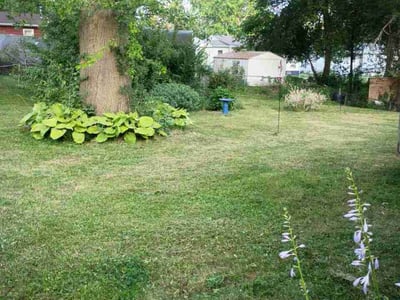 Lawn Care service in Waterloo, 50701