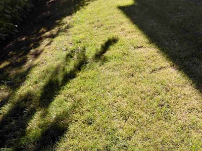 Lawn Care service in Arlington, 98223