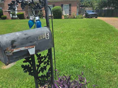 Lawn Care service in West Memphis, 72301