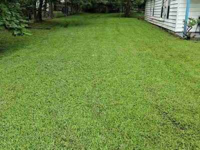 Lawn Care service in West Monroe, 71291