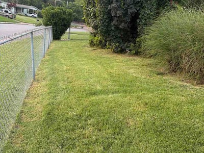 Lawn Care service in West Memphis, 72301