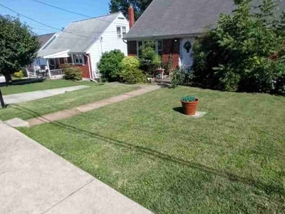 Lawn Care service in Rosedale, 21237