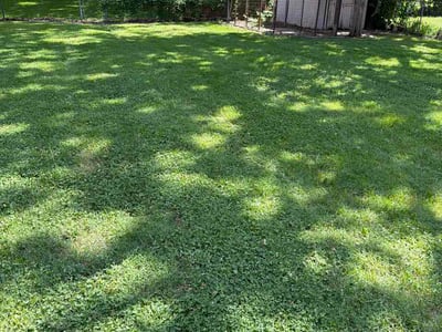 Lawn Care service in Topeka, 66612
