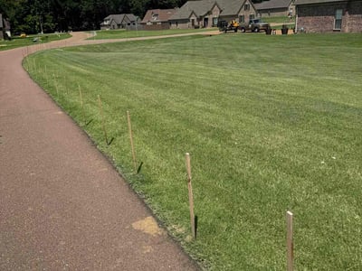 Lawn Care service in Southaven, 38671
