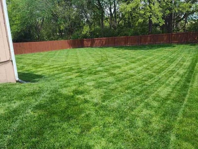 Lawn Care service in Grain Valley, 64029