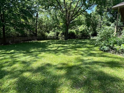 Lawn Care service in Grain Valley, 64029