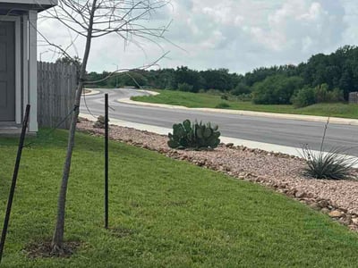 Lawn Care service in Helotes, 78023