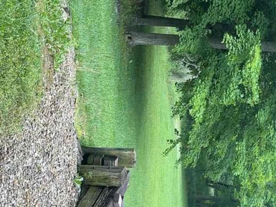 Lawn Care service in Tustin, 92780