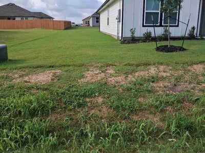 Lawn Care service in Lockhart, 78644