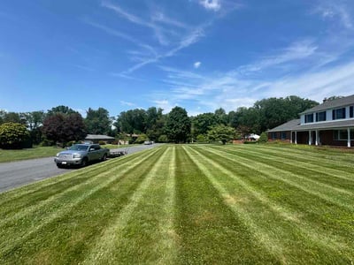 Lawn Care service in Havre De Grace, 21078