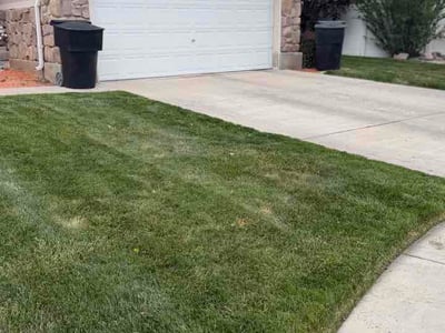 Lawn Care service in Syracuse, 84075