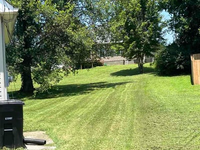 Lawn Care service in Columbia, 38401