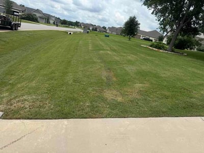 Lawn Care service in Cedar Creek, 78612