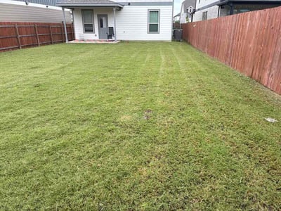 Lawn Care service in Cedar Creek, 78612