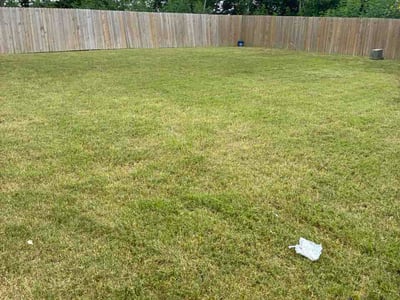 Lawn Care service in Rosharon, 77583